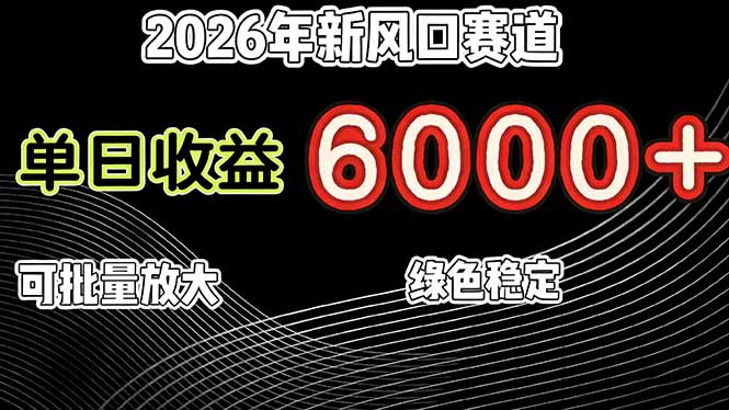 2026年新风口赛道，当日6000+以上，可批量放大，月收入20万+，长期绿色稳定的项目 图片