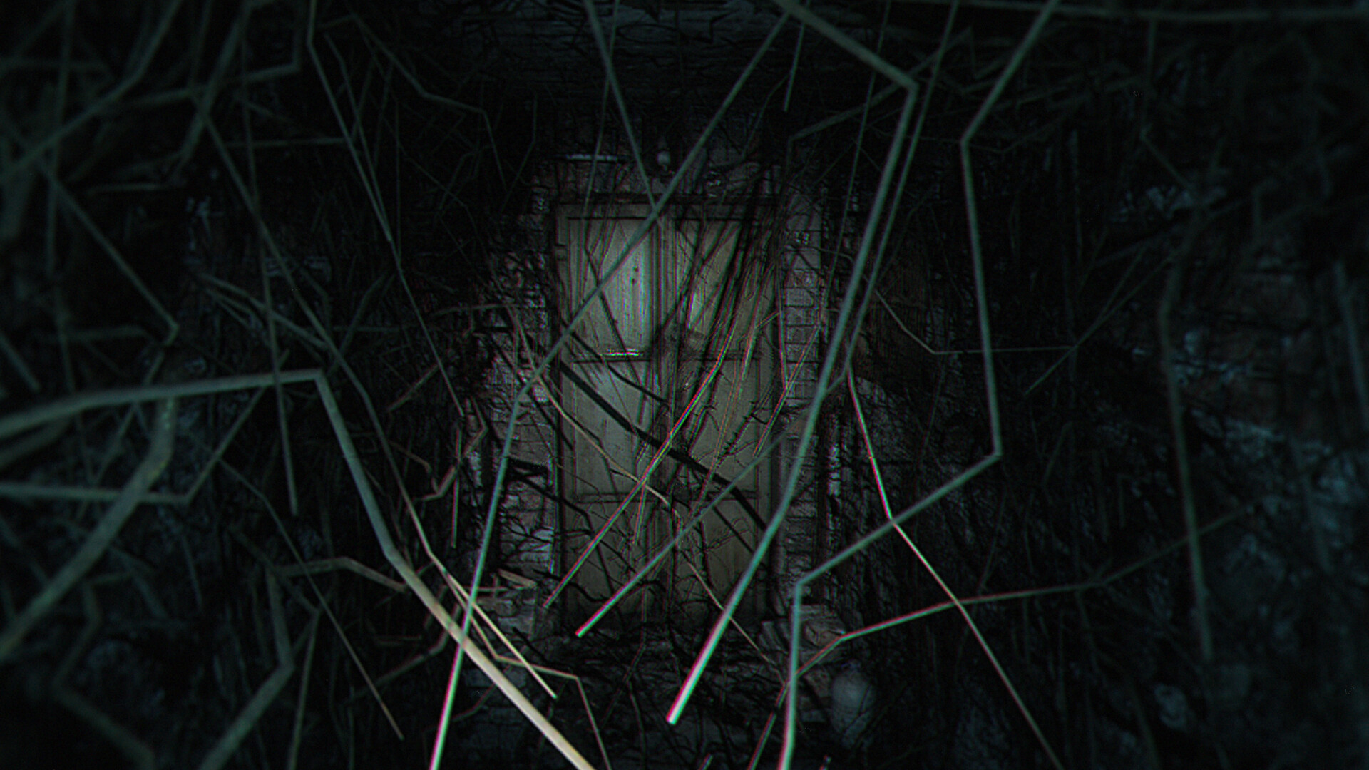 《诡异之光》中文版 图片