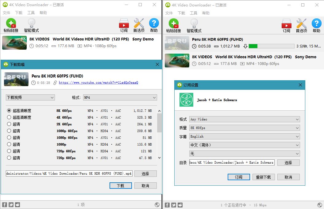 4K Video Downloader v4.28.0.560 图片 4K Video Downloader v4.28.0.560 图片