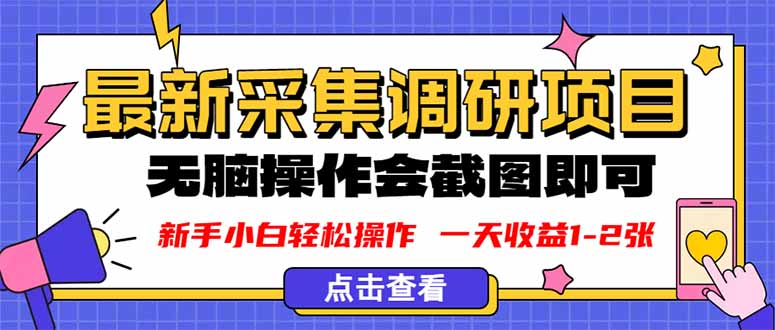 新版采集调研项目，截图上传即可，无脑操作，日收益1-2张 图片
