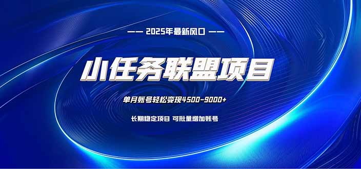 小任务联盟项目：一台电脑每天只需10分钟，轻松简单稳定 图片