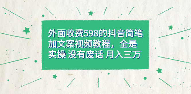 外面收费598抖音简笔加文案教程，全是实操 没有废话 月入三万（教程+资料） 图片