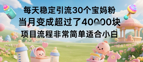 每天稳定引流30个宝妈粉当月变成超过了1W+项目流程非常简单适合小白 图片