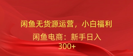 闲鱼平台无货源电商经营，新手褔利，日入300加 图片