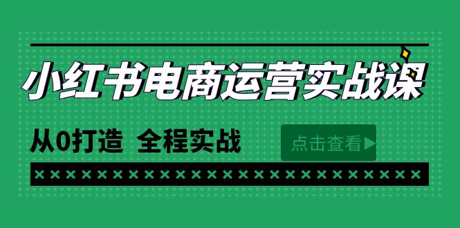 最新小红书·电商运营实战课，从0打造 全程实战 图片