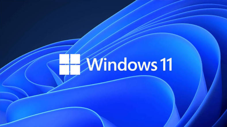 Windows 11 25H2 官方版26年1月 图片