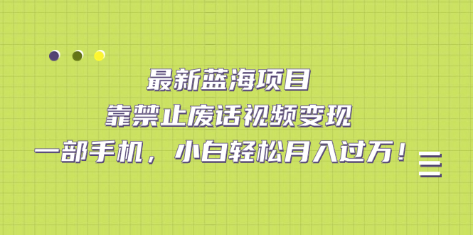 最新蓝海项目，靠禁止废话视频变现，一部手机，小白轻松月入过万！(蓝海方法) 图片