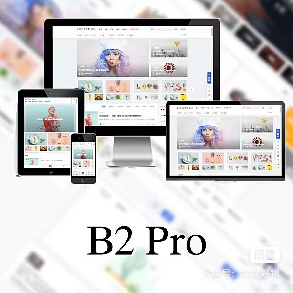 WordPress B2 Pro 主题5.2.0最新开心版,附带官方包体与授权文件