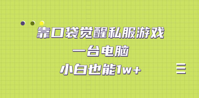 靠口袋觉醒私服游戏，一台电脑，小白也能1w+（教程+工具+资料）(口袋觉醒是不是下架了) 图片