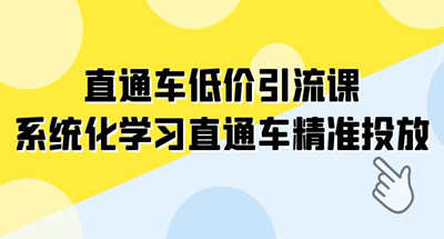 直通车-低价引流课，系统化学习直通车精准投放（14节课） 图片