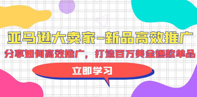 亚马逊 大卖家-新品高效推广，分享如何高效推广，打造百万美金爆款单品 图片