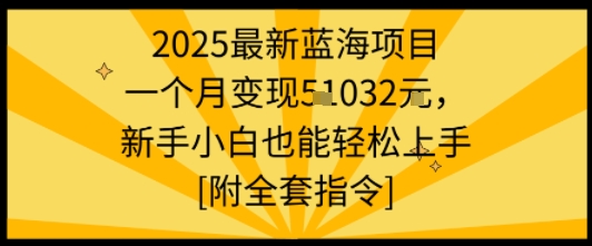 2025最新蓝海项目一个月变现1w+新手小白也能轻松上手【附全套指令】 图片