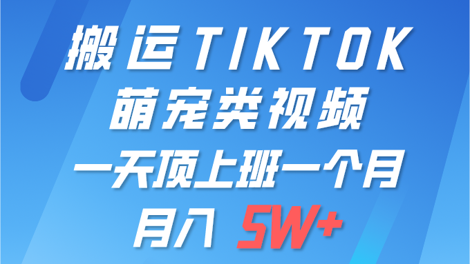 一键搬运TIKTOK萌宠类视频 一部手机即可操作 所有平台均可发布 轻松月入5W+ 图片