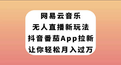 网易云音乐无人直播新玩法，抖音番茄APP拉新，让你轻松月入过万 图片