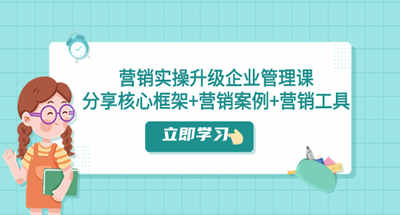 营销实操升级·企业管理课：分享核心框架+营销案例+营销工具（课程+文档） 图片